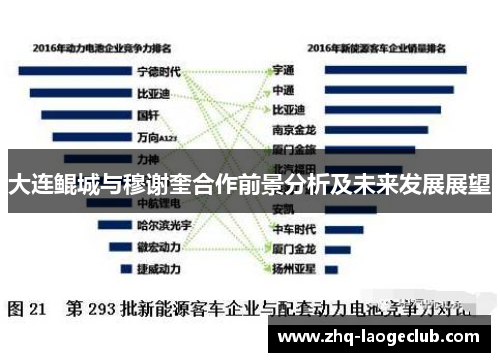 大连鲲城与穆谢奎合作前景分析及未来发展展望