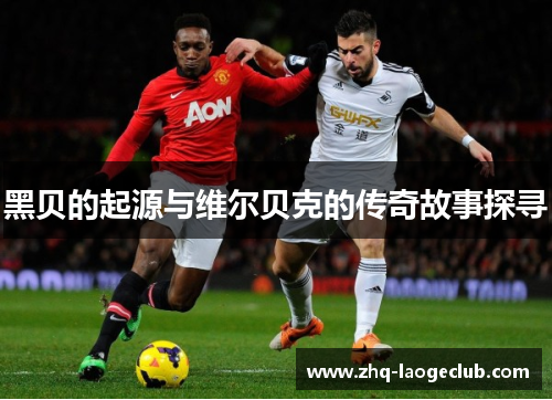 黑贝的起源与维尔贝克的传奇故事探寻